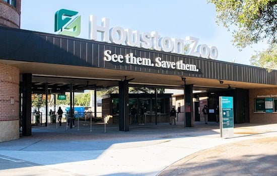 Houston Braces for Arctic Blast as Zoo Closes, Courts Delay, and Transit Halts Ahead of Winter Storm