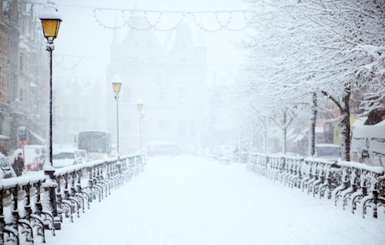 Houston Braces for Arctic Blast with Plunging Temperatures Ahead of Marathon Weekend