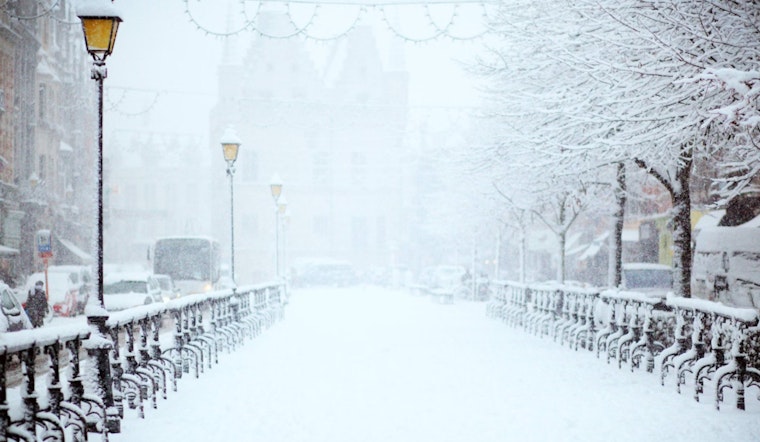Houston Braces for Arctic Blast with Plunging Temperatures Ahead of Marathon Weekend