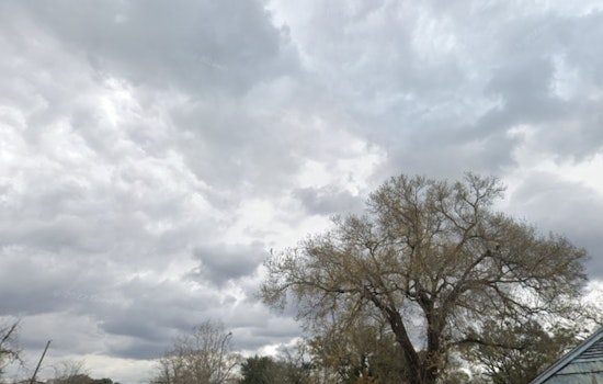 Houston Braces for Cool Temperatures and Flood Risks, Strong Storms Expected Later in the Week