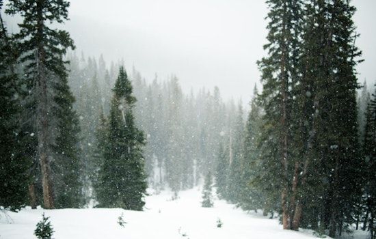 Houston Hit by Rare Snowstorm with 3-5 Inches of Snow Expected Amid Freezing Conditions
