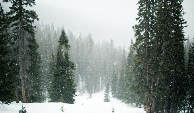 Houston Hit by Rare Snowstorm with 3-5 Inches of Snow Expected Amid Freezing Conditions