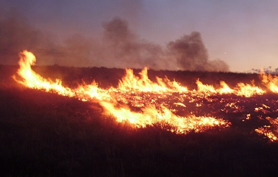 Hughes Fire Scorches 5,000 Acres in Castaic, Thousands Evacuated as Santa Ana Winds Intensify Blaze