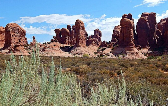 Human Remains Found by Hiker Near Elephant Arch in Southern Utah, No Foul Play Indicated