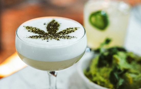 Arizonans Embrace Cannabis-Infused Beverages for a Spirited Dry January
