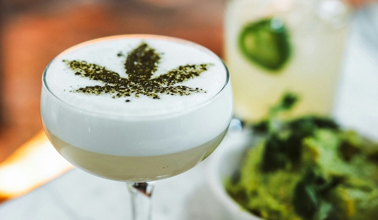 Arizonans Embrace Cannabis-Infused Beverages for a Spirited Dry January