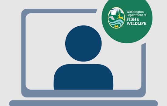 Washington Fish and Wildlife Commission to Stream Public Hearing on Whale Watching Rules, Discuss Columbia River Fisheries