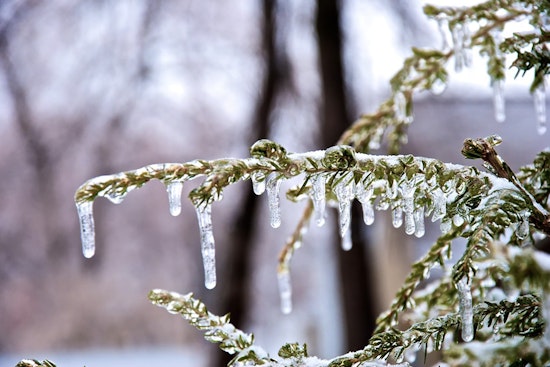 Indianapolis Battens Down for Deep Freeze, NWS Cautions Against Dangerous Chill