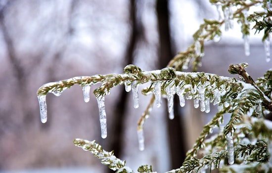 Indianapolis Battens Down for Deep Freeze, NWS Cautions Against Dangerous Chill