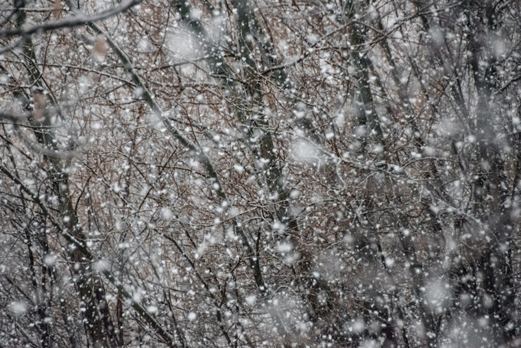 Indianapolis Braces for Chilly Winds and Isolated Snow Showers before a Sunny, Milder Week Ahead