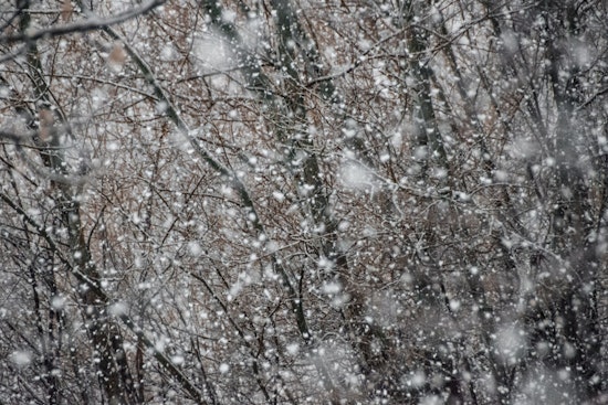 Indianapolis Braces for Chilly Winds and Isolated Snow Showers before a Sunny, Milder Week Ahead