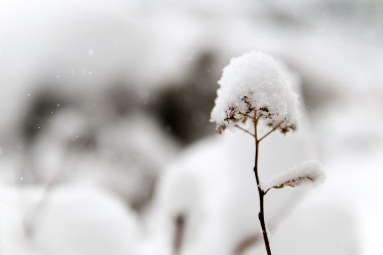 Indianapolis Braces for Severe Cold as NWS Issues Extreme Cold Watch with Wind Chills Down to -25°F