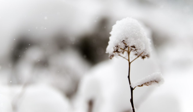 Indianapolis Braces for Severe Cold as NWS Issues Extreme Cold Watch with Wind Chills Down to -25°F