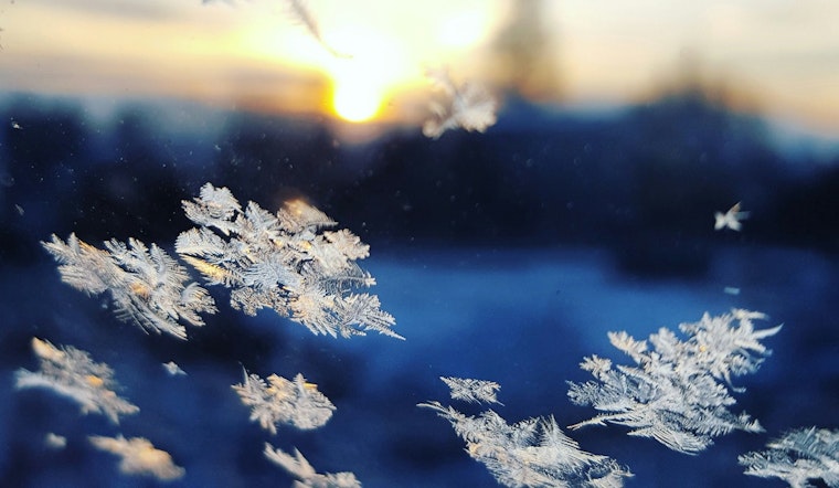 Jacksonville Braces for Weekend Frost: Residents Advised to Protect Plants