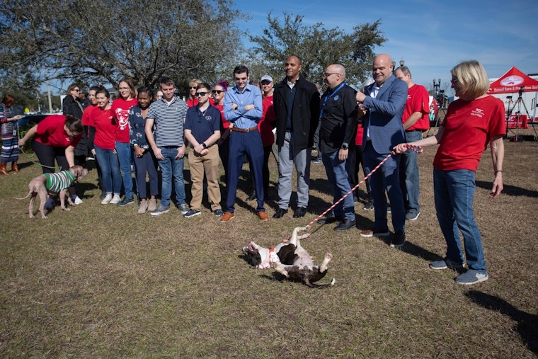 Jacksonville Launches Innovative PAWS Program to Foster Employment for Individuals with Developmental Differences