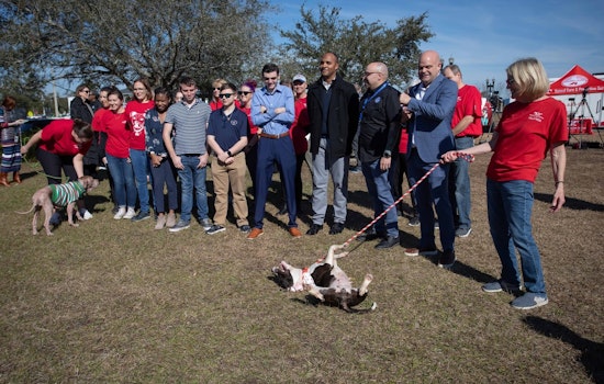Jacksonville Launches Innovative PAWS Program to Foster Employment for Individuals with Developmental Differences