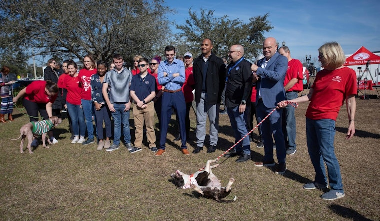 Jacksonville Launches Innovative PAWS Program to Foster Employment for Individuals with Developmental Differences