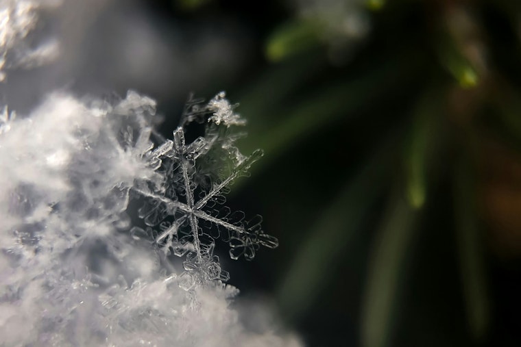 Jacksonville on Chill Alert as Residents Warned of Frostbite Risk Amid Cold Weather Advisory