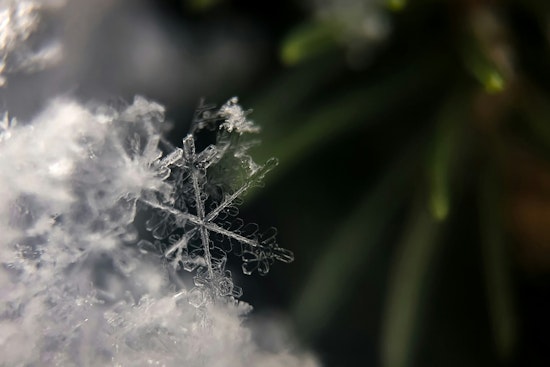 Jacksonville on Chill Alert as Residents Warned of Frostbite Risk Amid Cold Weather Advisory