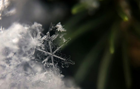 Jacksonville on Chill Alert as Residents Warned of Frostbite Risk Amid Cold Weather Advisory