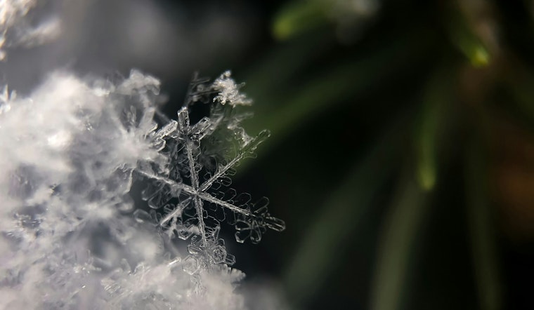 Jacksonville on Chill Alert as Residents Warned of Frostbite Risk Amid Cold Weather Advisory