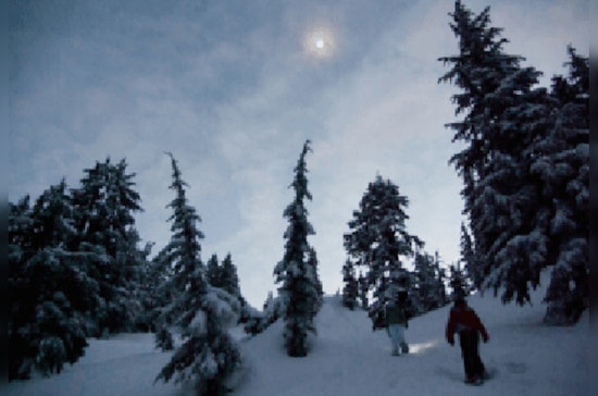 Join a Moonlit Snowshoe Adventure at Murphy-Hanrehan Park Reserve in Minnesota
