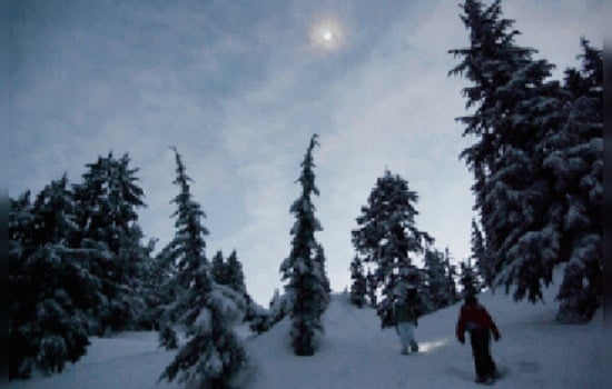 Join a Moonlit Snowshoe Adventure at Murphy-Hanrehan Park Reserve in Minnesota