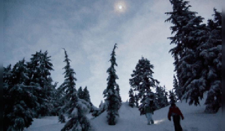 Join a Moonlit Snowshoe Adventure at Murphy-Hanrehan Park Reserve in Minnesota