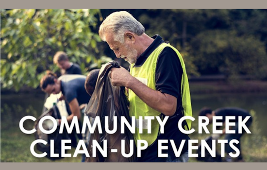 Join the Charge to Beautify Dallas: Upcoming Community Creek Cleanup Events