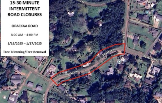 Kauai Traffic Alert Opaekaa Road to Close Lanes and Cause Delays for Tree Trimming Jan. 16-17