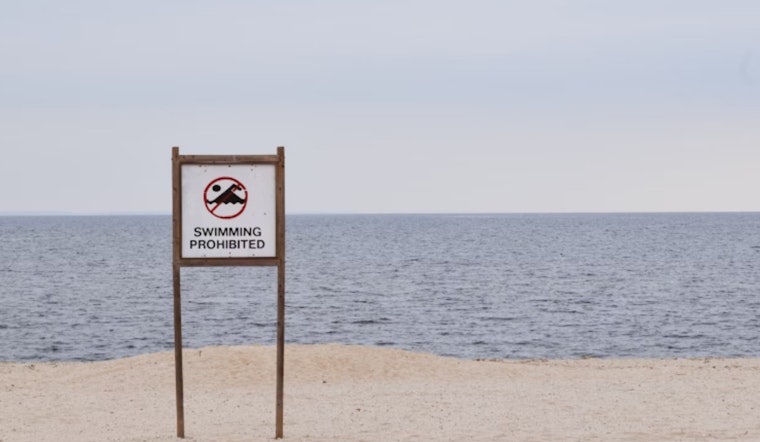 L.A. County Issues Beach Advisory, Fire Debris Runoff Closes Stretches from Las Flores to Dockweiler State Beach