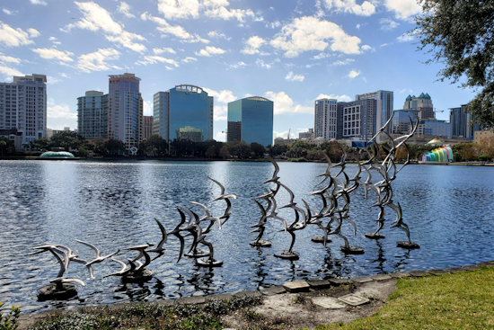 Lake and Inland Volusia Counties Under Frost Advisory as Cold Front Grips Central Florida