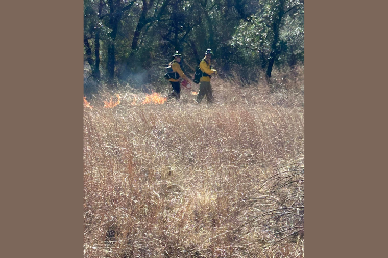 Lake Worth and Fort Worth Fire Departments Join Forces for Controlled Burn Exercise at Nature Center