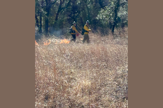 Lake Worth and Fort Worth Fire Departments Join Forces for Controlled Burn Exercise at Nature Center
