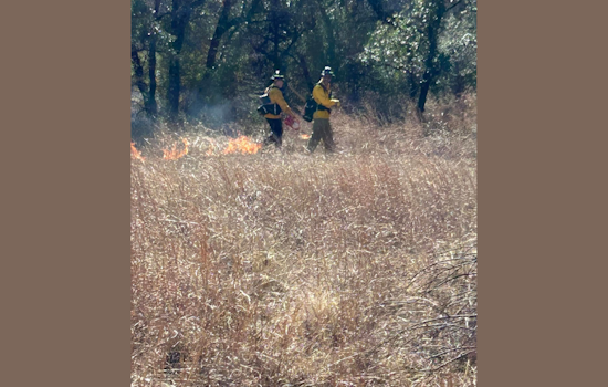 Lake Worth and Fort Worth Fire Departments Join Forces for Controlled Burn Exercise at Nature Center