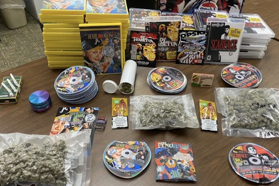 Lakeland Traffic Stop Yields Over 237 Grams of Marijuana and Rescues Two Puppies