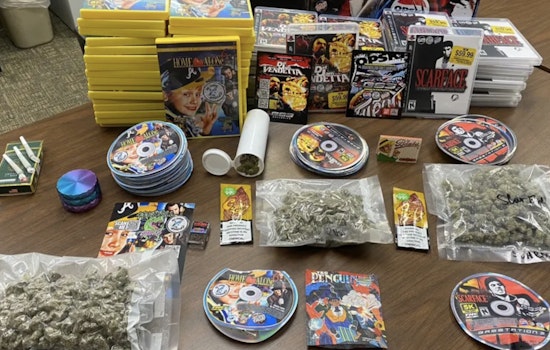 Lakeland Traffic Stop Yields Over 237 Grams of Marijuana and Rescues Two Puppies