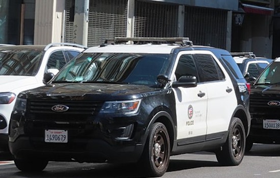 LAPD Officers Open Fire on Vandalism Suspect in Baldwin Hills After Taser Ineffective