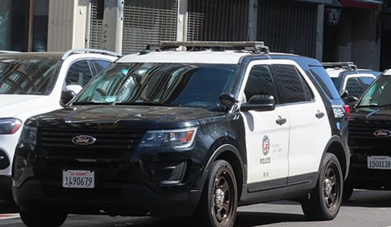 LAPD Officers Open Fire on Vandalism Suspect in Baldwin Hills After Taser Ineffective
