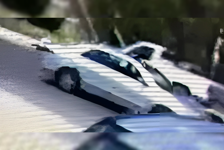 Las Cruces Police Seek Public's Help with $1,000 Reward for Cold Case Homicide Tips