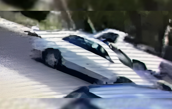 Las Cruces Police Seek Public's Help with $1,000 Reward for Cold Case Homicide Tips