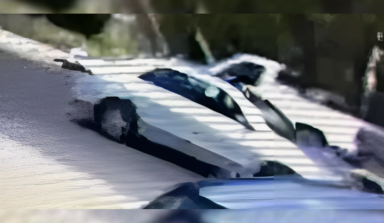 Las Cruces Police Seek Public's Help with $1,000 Reward for Cold Case Homicide Tips