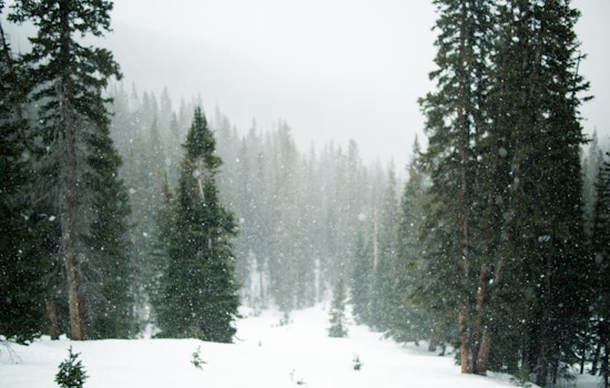Las Vegas Braces for First Significant Winter Storm With Snow and Rain Predicted Today