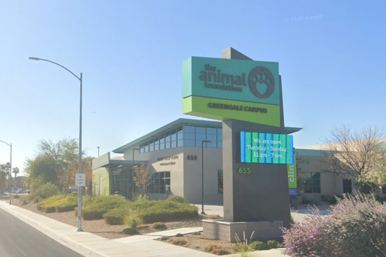 Las Vegas Pet Owners Alerted of Scam Involving The Animal Foundation Identity Theft