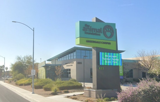 Las Vegas Pet Owners Alerted of Scam Involving The Animal Foundation Identity Theft