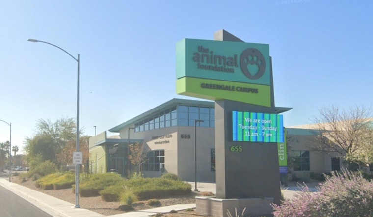 Las Vegas Pet Owners Alerted of Scam Involving The Animal Foundation Identity Theft