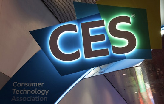 Las Vegas Showcases Cutting-Edge Tech at CES 2025 with AI-Powered Pet Litter Box and Global Innovations