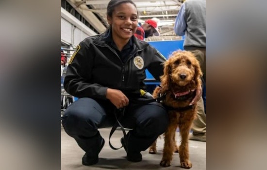 Lawrenceville Police Welcome K9 Rowan as New Community Wellness Dog to Boost Mental Health Support