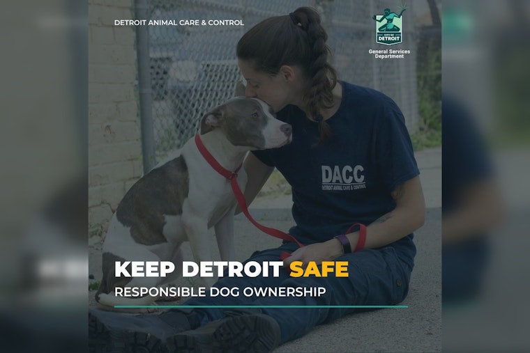 Local Dog Rescues in Metro Detroit Battle Deadly Winter Chill to Save Pets