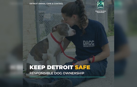 Local Dog Rescues in Metro Detroit Battle Deadly Winter Chill to Save Pets